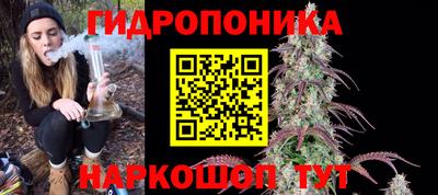 крисы Азнакаево