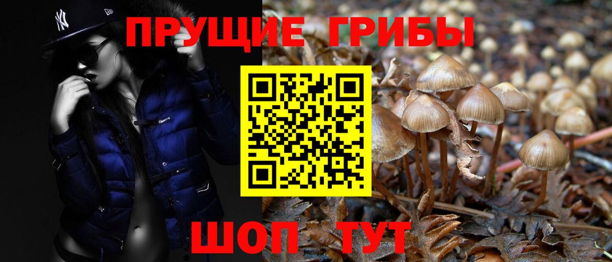 Псилоцибиновые грибы Cubensis  Псилоцибиновые грибы Psilocybe  Вход с VPN  Алатырь 